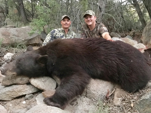 arizona rifle bear season guides hunting outfitters