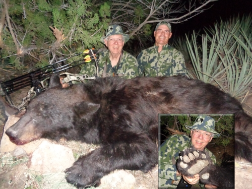 arizona archery bear hunt bow hunting for bear guides