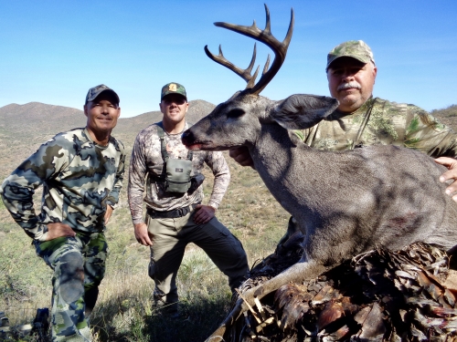 coues deer arizona hunting guides outfitters hunts