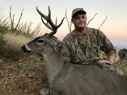 arizona coues deer hunting guides outfitters hunts whitetail