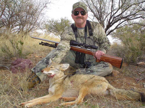 Arizona coyote hunt