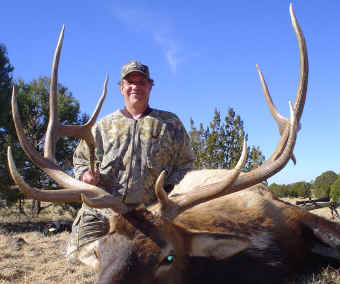 Arizona late rifle bull elk