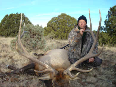 Big Arizona Bull Elk