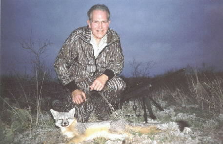 Calling for gray fox