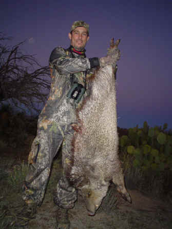 Arizona Javelina Hunting with archery gear