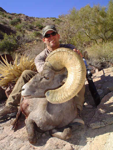 Ron Heidemann with Kofa Desert Sheep