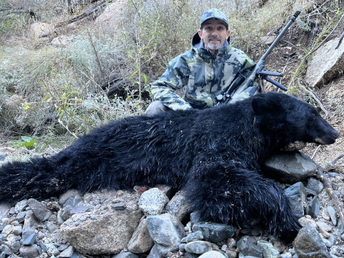 arizona bear hunting guides and outfitters hunts