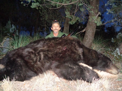 arizona black bear hunts hunting outfitters guides