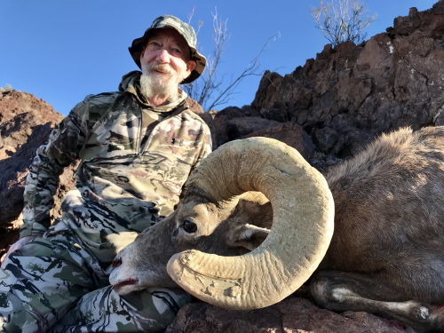 arizona desert bighorn sheep hunting guides outfitters