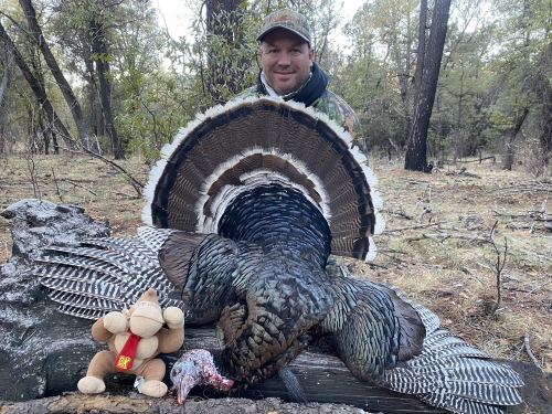 arizona goulds turkey hunting outfitters guides guided hunts