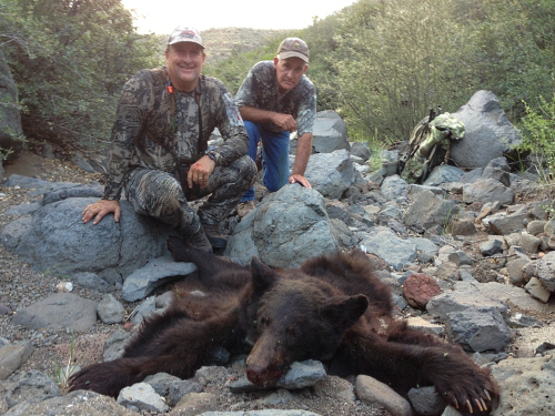 brown arizona bear hunting