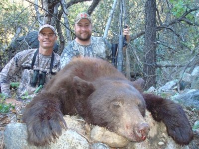 arizona bear hunt guides outfitters