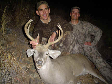 Arizona Coues Deer 2005