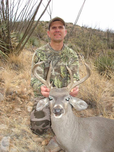 big Arizona coues deer