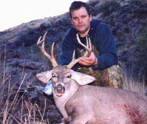 coues deer shot at 375 yards in it's bed