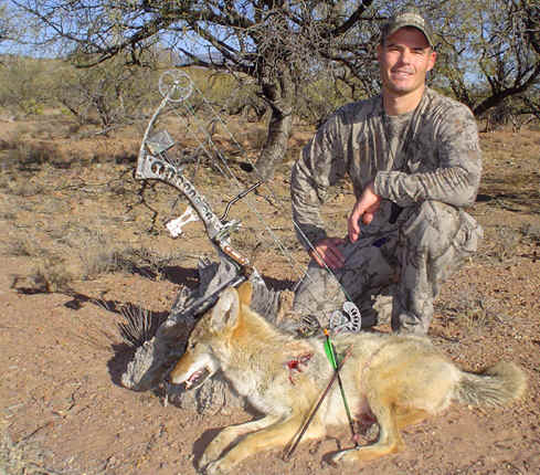 COYOTE SHOT WITH A BOW