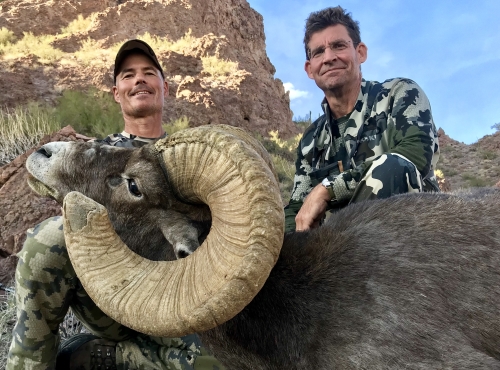 arizona desert bighorn sheep hunting outfitters guides hunt