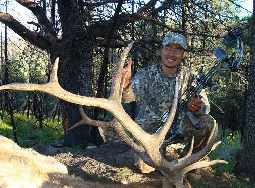 New Mexico archery elk