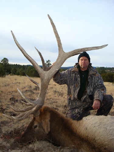 Arizona Late Rifle Bull Hunt