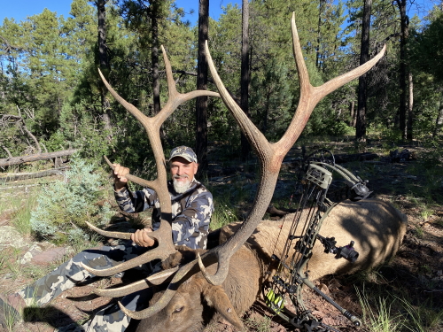 arizona archery elk hunting 6a guides outfitters