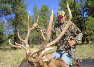 Arizona archery elk non-typical