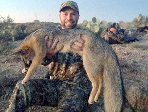 Arizona Gray Fox hunting