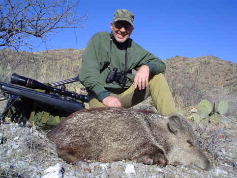 Arizona Javelina