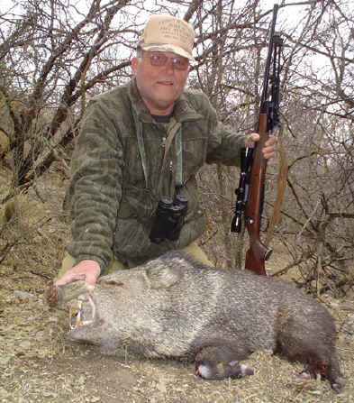 Arizona Javelina