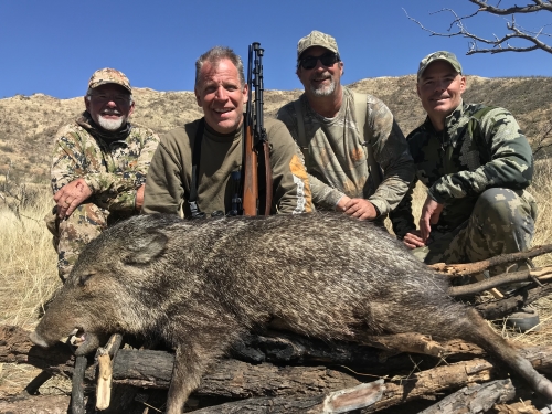 arizona javelina hunting with arizona guided hunts