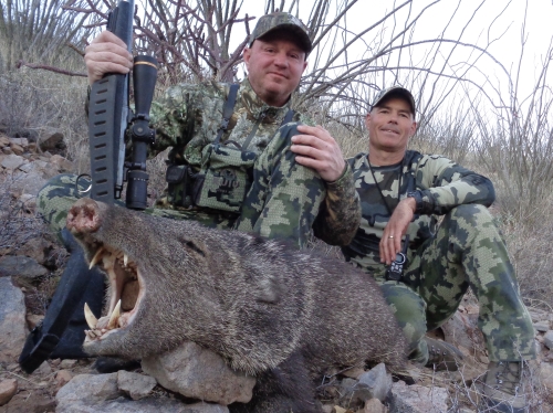 rifle season javelina javaline hunting arizona guide outfitters
