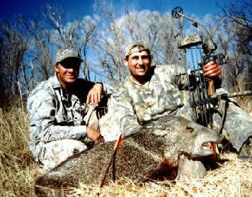 archery javelina 