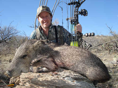 Javelina hunting with a bow