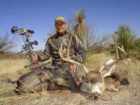 javelina and mule deer on a combo hunt