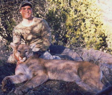 Arizona Mountain Lion
