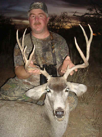 Arizona Mule Deer Buck