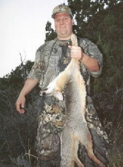 chris plazchek with an arizona gray fox