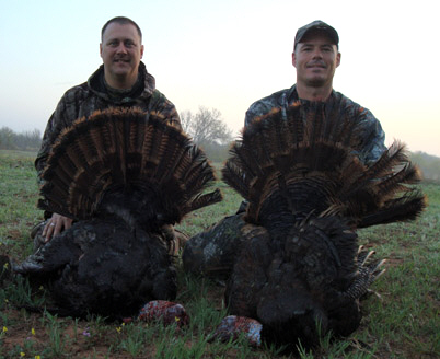 Wet turkeys
