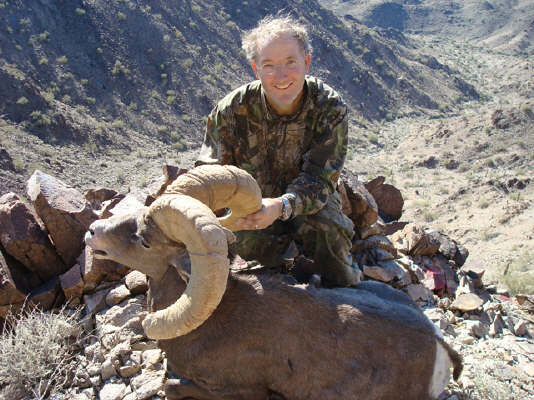 arizona desert sheep
