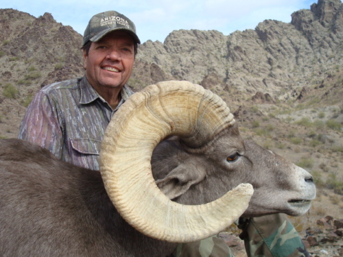 desert bighorn sheep hunt guides outfitters