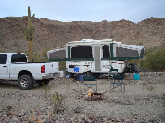 desert sheep camp
