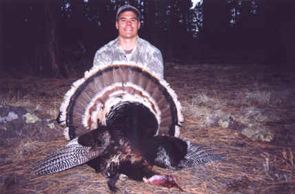 Wild Turkey Hunting Outfitters and Guides - Arizona