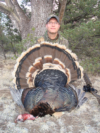 Merriam's turkey hunting in New Mexico