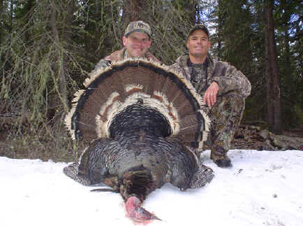 Merriams turkey taken in Arizona