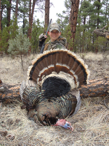 New Mexico Gobbler