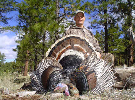 Professional Merriam's turkey hunter