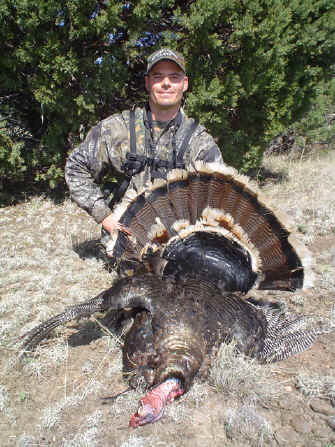 Juniper Merriam's turkey