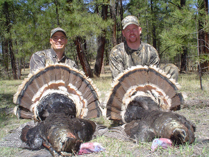 Merriams turkey gobblers