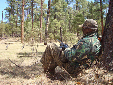 turkey hunting set up