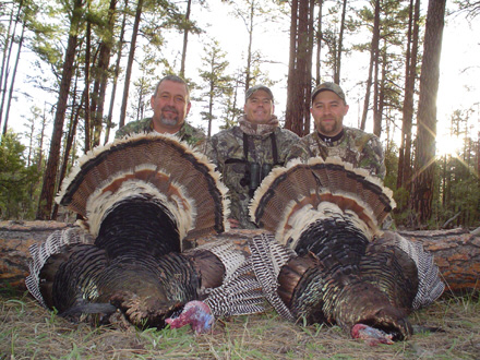 Merriams turkey hunting in New Mexico