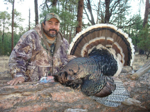 New Mexico Merriam's turkey